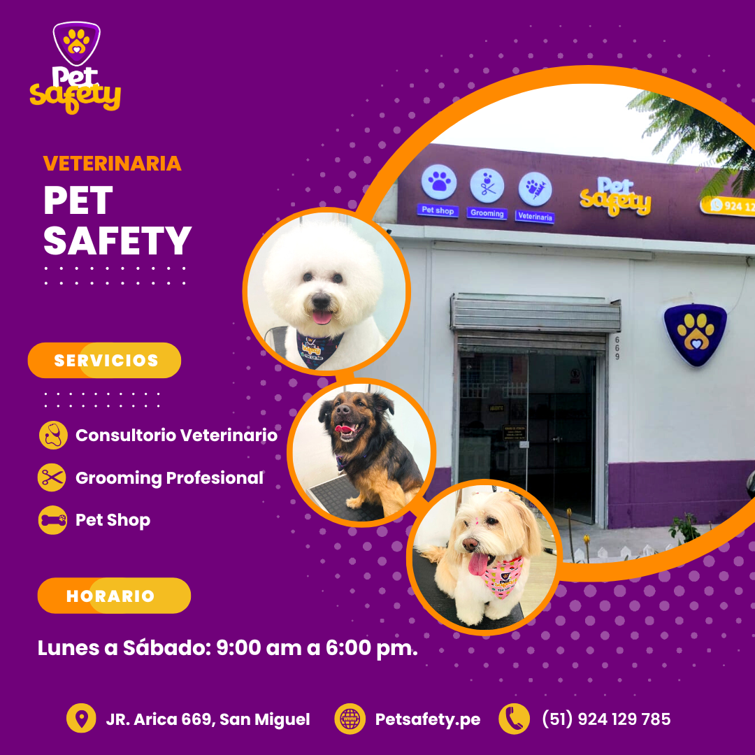 Nosotros Pet Safety